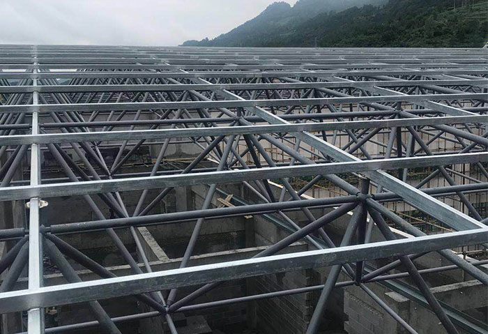 聊城学校艺体楼网架